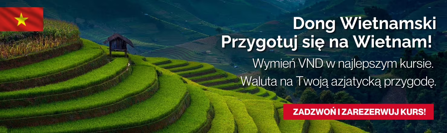 Dong wietnamski VND w najlepszym kursie!