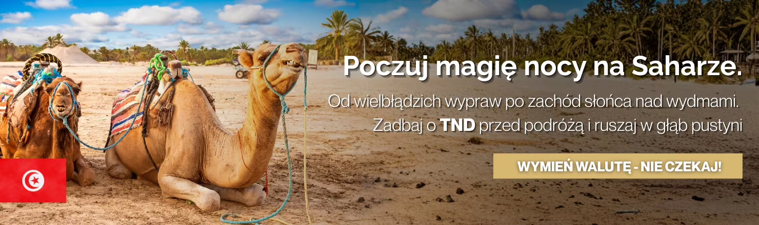 Dinar tunezyjski TND w najlepszym kursie