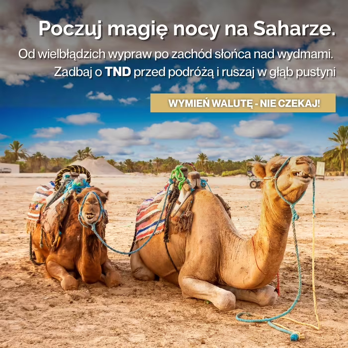 Dinar tunezyjski TND w najlepszym kursie