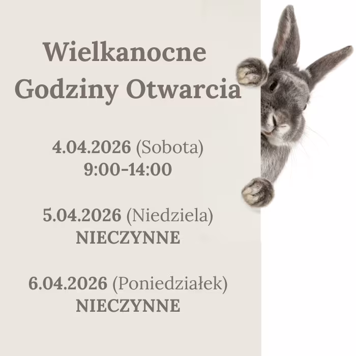 Wielkanoc Kantor Cent - najlepsze kursy walut Bydgoszcz Wielkanoc Kantor Cent - najlepsze kursy walut Bydgoszcz